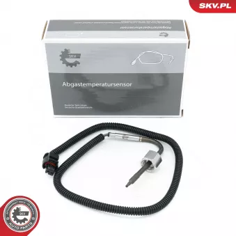 Capteur, température des gaz ESEN SKV 30SKV465
