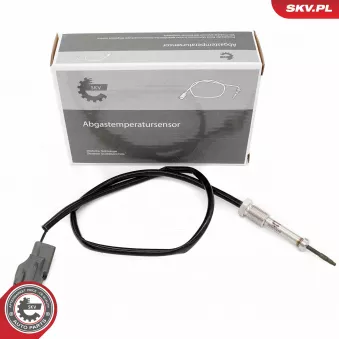 Capteur, température des gaz ESEN SKV 30SKV470