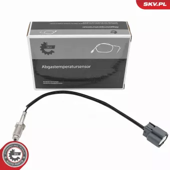 Capteur, température des gaz ESEN SKV 30SKV475