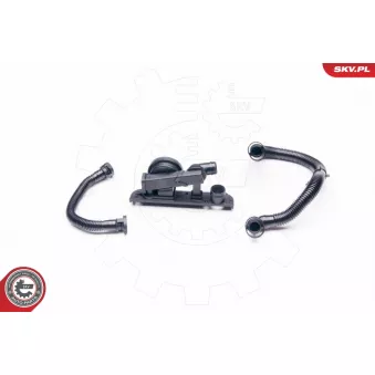 Kit de réparation, ventilation du carter-moteur ESEN SKV 31SKV003