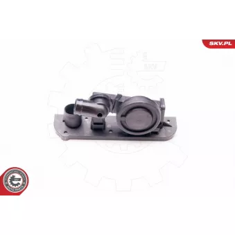 Soupape, dégazage du carter ESEN SKV 31SKV004