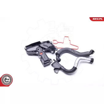 Kit de réparation, ventilation du carter-moteur ESEN SKV 31SKV008