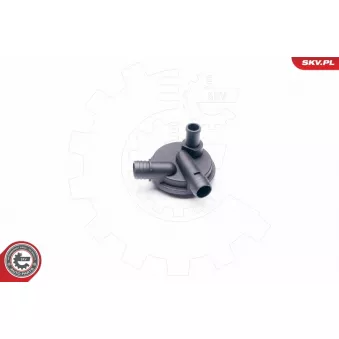 Soupape, dégazage du carter ESEN SKV 31SKV013