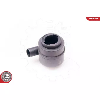 Soupape, dégazage du carter ESEN SKV 31SKV016