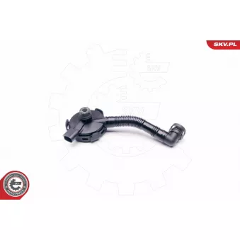 Soupape, dégazage du carter ESEN SKV 31SKV020