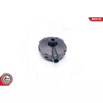 Soupape, dégazage du carter ESEN SKV 31SKV021