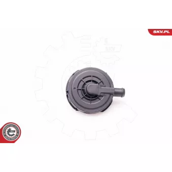 Soupape, dégazage du carter ESEN SKV 31SKV023