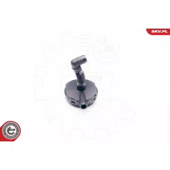 Soupape, dégazage du carter ESEN SKV 31SKV024