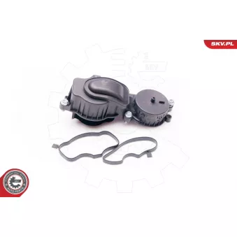 Soupape, dégazage du carter ESEN SKV 31SKV036