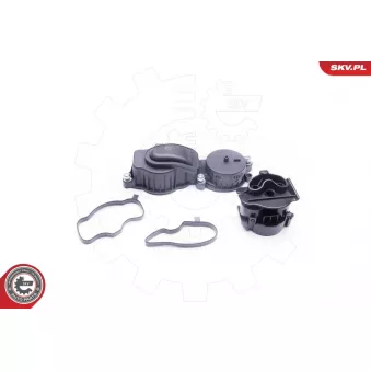 Soupape, dégazage du carter ESEN SKV 31SKV037