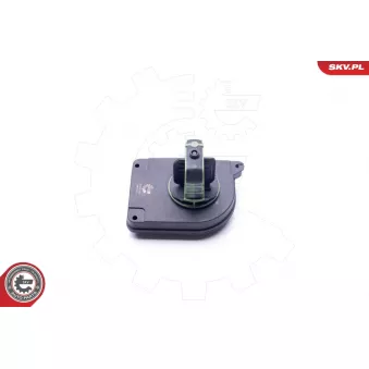 Valve, controle d'air-air d'admission ESEN SKV 31SKV049