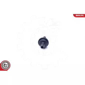 Soupape, dégazage du carter ESEN SKV 31SKV063