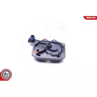 Soupape, dégazage du carter ESEN SKV 31SKV067