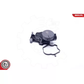 Soupape, dégazage du carter ESEN SKV 31SKV070