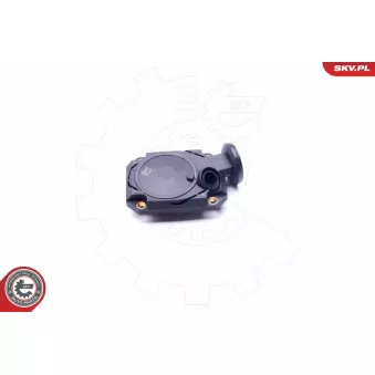 Soupape, dégazage du carter ESEN SKV 31SKV073