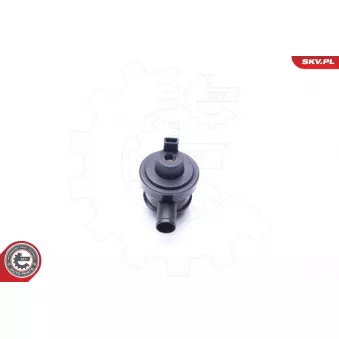 Détendeur, système à rampe commune ESEN SKV 31SKV096