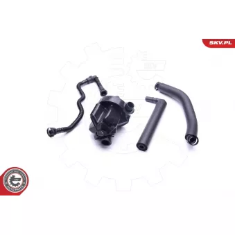 Kit de réparation, ventilation du carter-moteur ESEN SKV 31SKV099