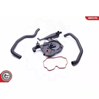 Kit de réparation, ventilation du carter-moteur ESEN SKV 31SKV100