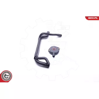 Kit de réparation, ventilation du carter-moteur ESEN SKV