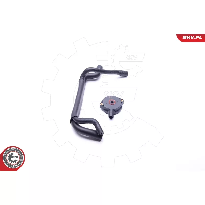 Kit de réparation, ventilation du carter-moteur ESEN SKV 31SKV101