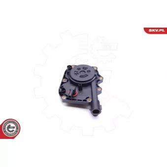 Kit de réparation, ventilation du carter-moteur ESEN SKV 31SKV103