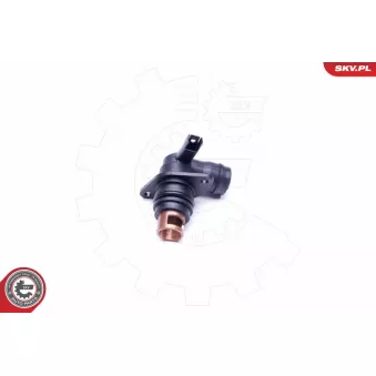Capteur, température de l'air d'admission ESEN SKV 31SKV136