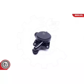 Soupape, dégazage du carter ESEN SKV 31SKV156