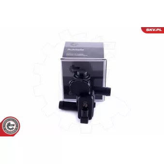 Soupape, dégazage du carter ESEN SKV 31SKV168