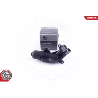 Boîtier, Filtre hydraulique, boîte automatique ESEN SKV 31SKV173