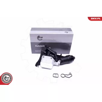 Boîtier, filtre à huile ESEN SKV 31SKV174