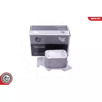 Radiateur d'huile ESEN SKV 31SKV213