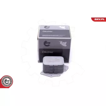 Boîtier, filtre à huile ESEN SKV 31SKV230