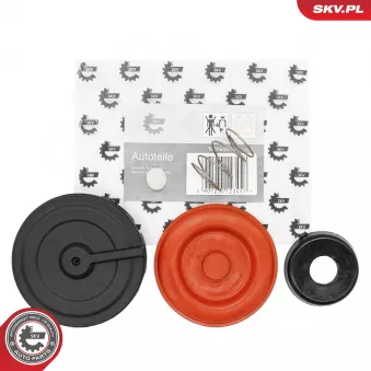 Diaphragme, ventilation du carter-moteur ESEN SKV 31SKV242