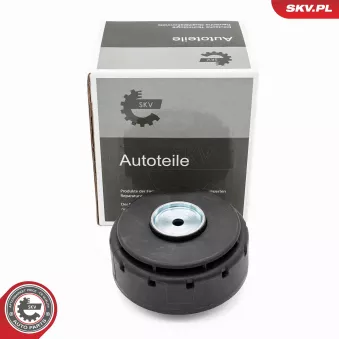 Soupape, dégazage du carter ESEN SKV 31SKV421