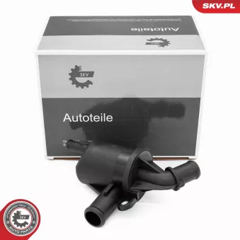 Séparateur d'huile, prise de recyclage des gas de carter ESEN SKV 31SKV423