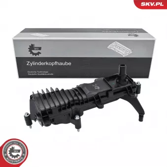 Séparateur d'huile, prise de recyclage des gas de carter ESEN SKV 31SKV505