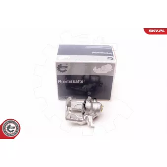 Étrier de frein arrière droit ESEN SKV 34SKV014