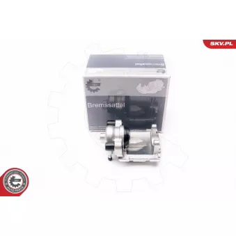 Étrier de frein arrière gauche ESEN SKV