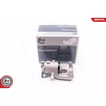 Étrier de frein arrière gauche ESEN SKV 34SKV163