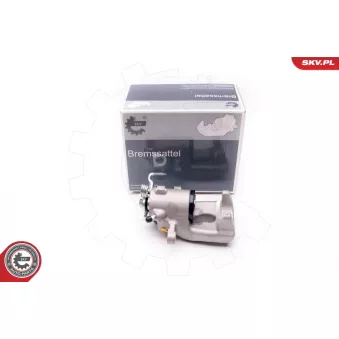 Étrier de frein arrière droit ESEN SKV 34SKV164