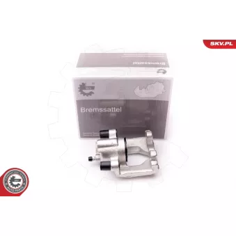 Étrier de frein arrière gauche ESEN SKV