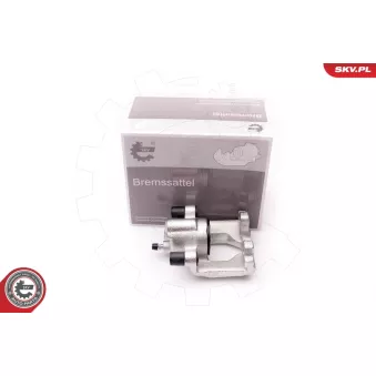 Étrier de frein arrière droit ESEN SKV 34SKV294