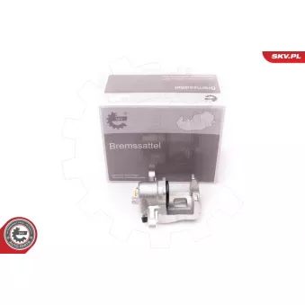 Étrier de frein arrière gauche ESEN SKV 34SKV363