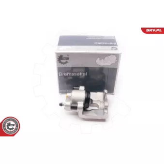 Étrier de frein arrière gauche ESEN SKV 34SKV373