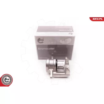 Étrier de frein arrière gauche ESEN SKV 34SKV393