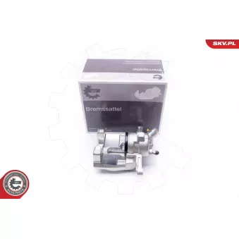 Étrier de frein arrière gauche ESEN SKV 34SKV533