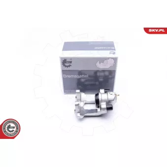 Étrier de frein arrière gauche ESEN SKV 34SKV553