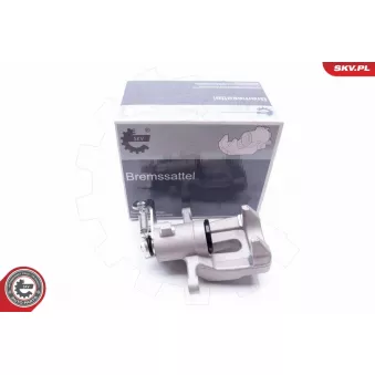 Étrier de frein arrière gauche ESEN SKV