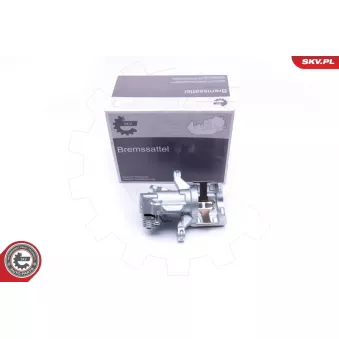 Étrier de frein arrière droit ESEN SKV 34SKV894