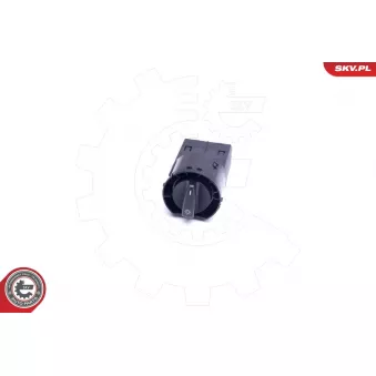 Interrupteur, lumière principale ESEN SKV